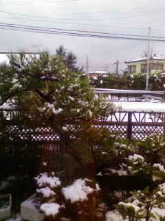 �䂫�䂫