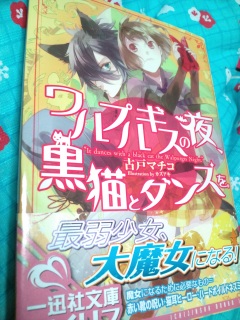 �����v���M�X