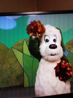 ������������